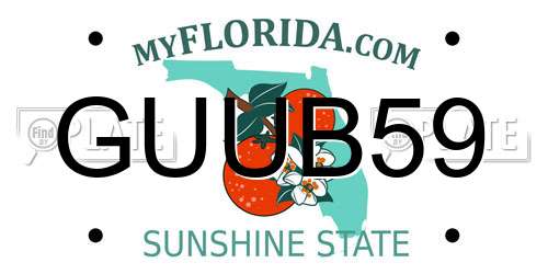 GUUB59 Florida License Plate