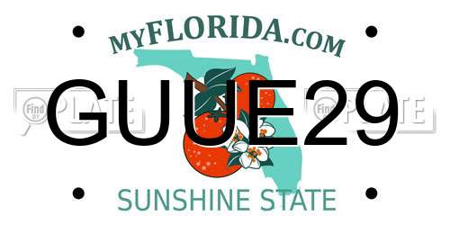 GUUE29 Florida License Plate