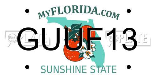 GUUF13 Florida License Plate