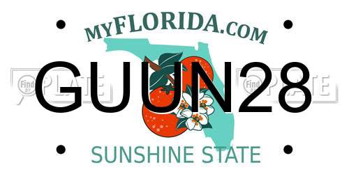 GUUN28 Florida License Plate