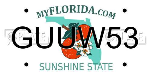GUUW53 Florida License Plate