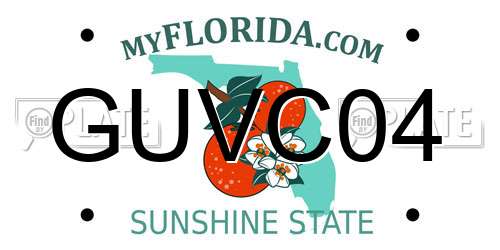 GUVC04 Florida License Plate