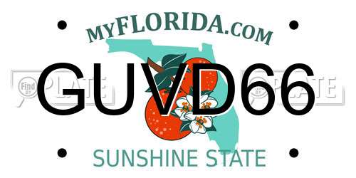 GUVD66 Florida License Plate