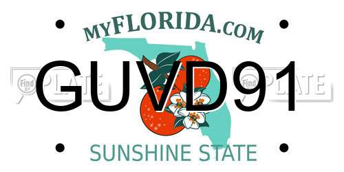 GUVD91 Florida License Plate