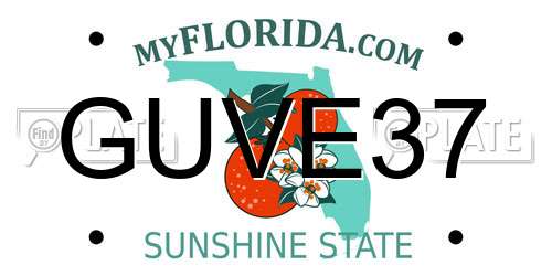 GUVE37 Florida License Plate