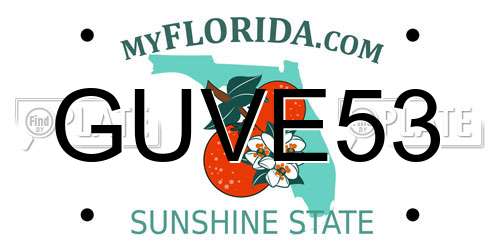 GUVE53 Florida License Plate