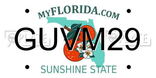 GUVM29 Florida License Plate