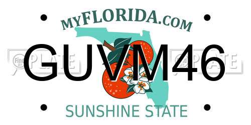 GUVM46 Florida License Plate