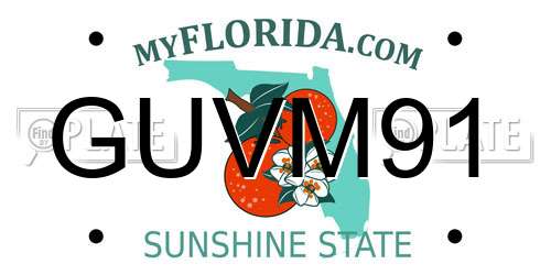 GUVM91 Florida License Plate