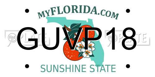 GUVP18 Florida License Plate