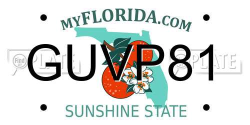 GUVP81 Florida License Plate