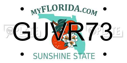 GUVR73 Florida License Plate