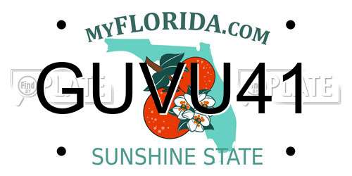 GUVU41 Florida License Plate