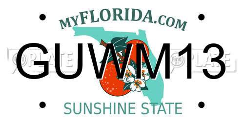 GUWM13 Florida License Plate