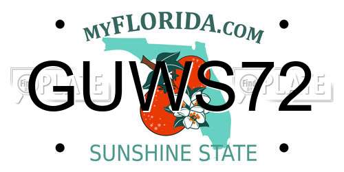 GUWS72 Florida License Plate