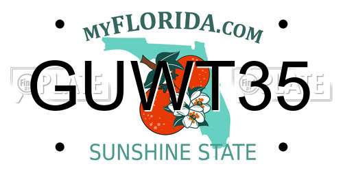 GUWT35 Florida License Plate