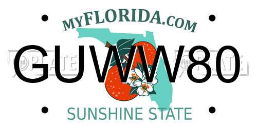 GUWW80 Florida License Plate