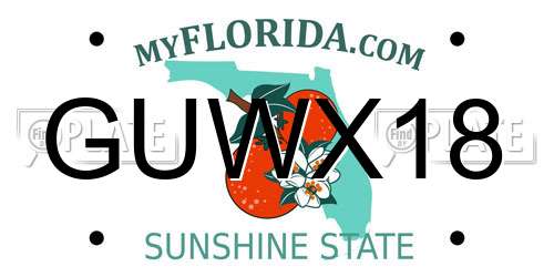 GUWX18 Florida License Plate