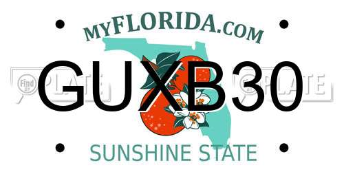 GUXB30 Florida License Plate