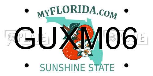 GUXM06 Florida License Plate