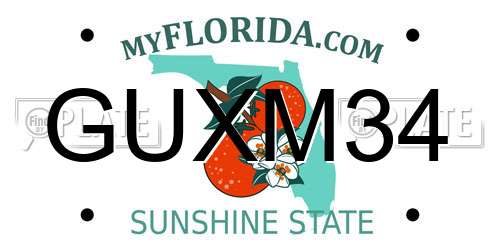GUXM34 Florida License Plate