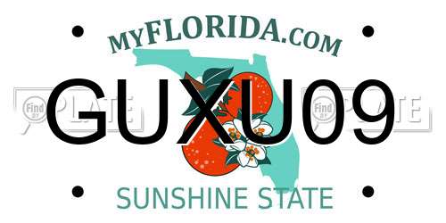 GUXU09 Florida License Plate