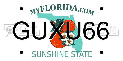 GUXU66 Florida License Plate