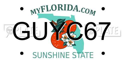 GUYC67 Florida License Plate