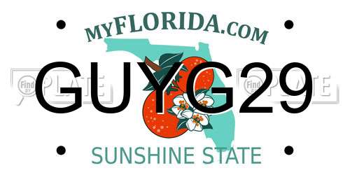 GUYG29 Florida License Plate