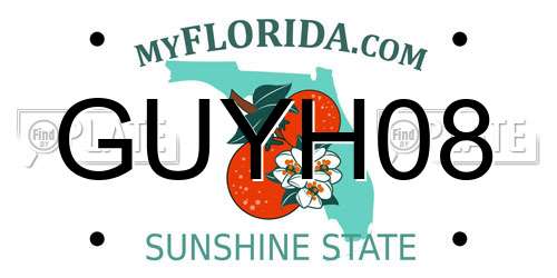 GUYH08 Florida License Plate