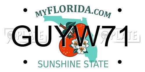 GUYW71 Florida License Plate