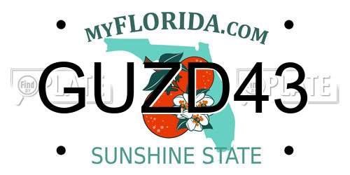 GUZD43 Florida License Plate