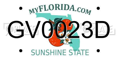 GV0023D Florida License Plate