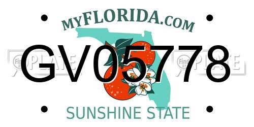GV05778 Florida License Plate