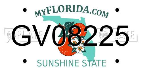 GV08225 Florida License Plate