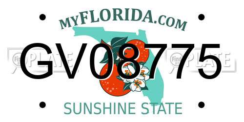 GV08775 Florida License Plate