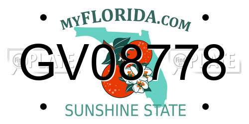 GV08778 Florida License Plate
