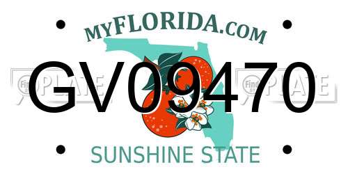 GV09470 Florida License Plate