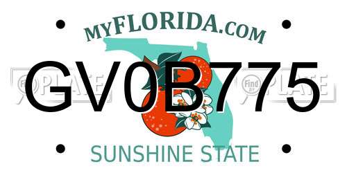 GV0B775 Florida License Plate