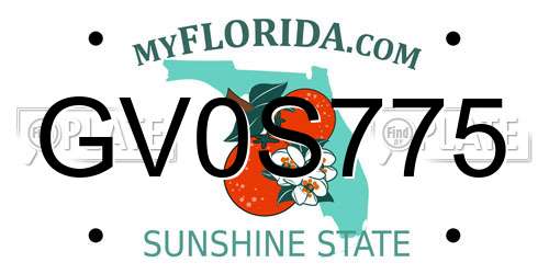 GV0S775 Florida License Plate