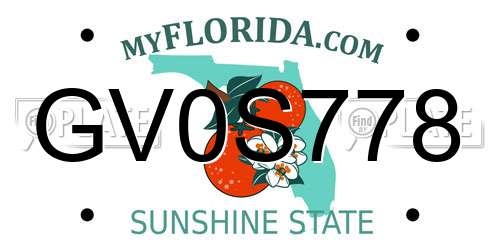 GV0S778 Florida License Plate