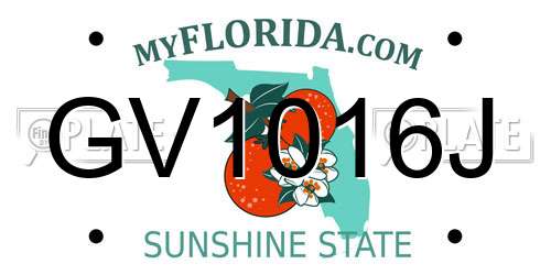 GV1016J Florida License Plate