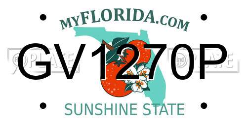 GV1270P Florida License Plate