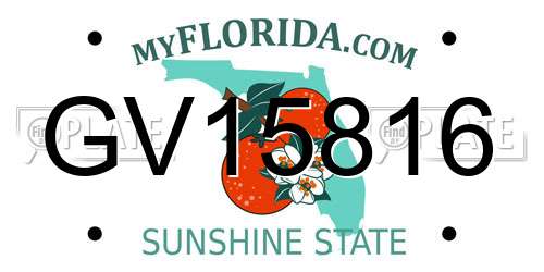 GV15816 Florida License Plate