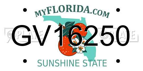 GV16250 Florida License Plate