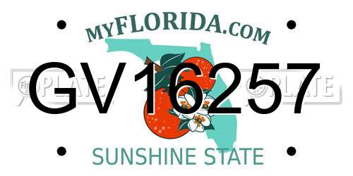 GV16257 Florida License Plate