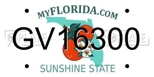 GV16300 Florida License Plate