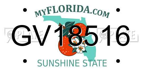 GV18516 Florida License Plate