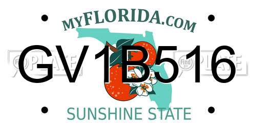 GV1B516 Florida License Plate