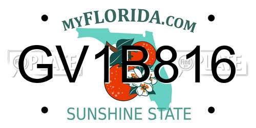 GV1B816 Florida License Plate